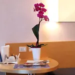 Hotel Nicotel 4*