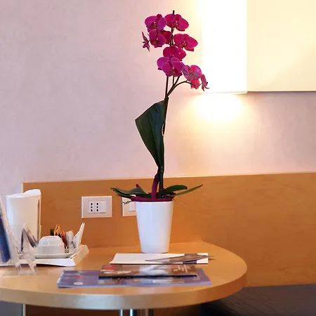Hotel Nicotel 4*